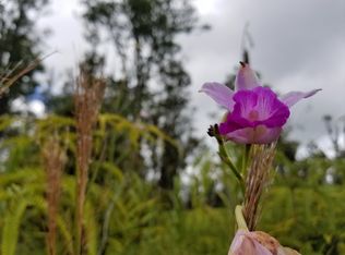 Waimaka O Pele Rd LOT 8487, Mountain View, HI 96771