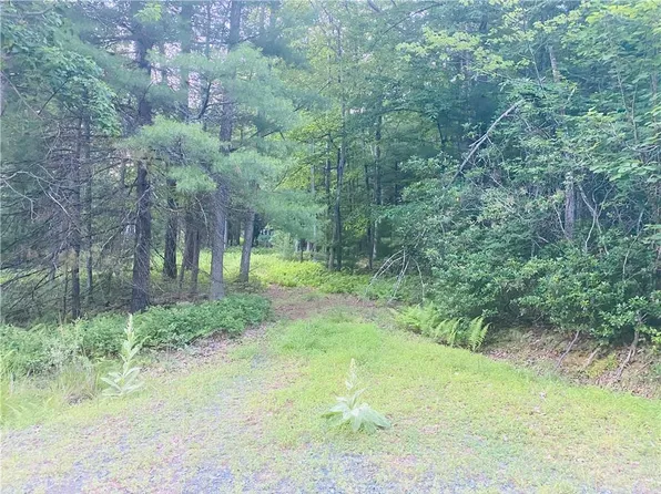 Lot 11 Ivan Franco Road, Glen Spey, NY 12737