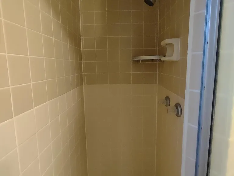 Master shower.