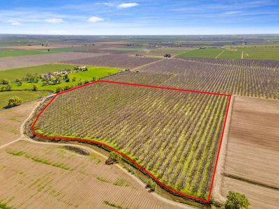 3591 S Hewitt Rd, Linden, CA, 95236