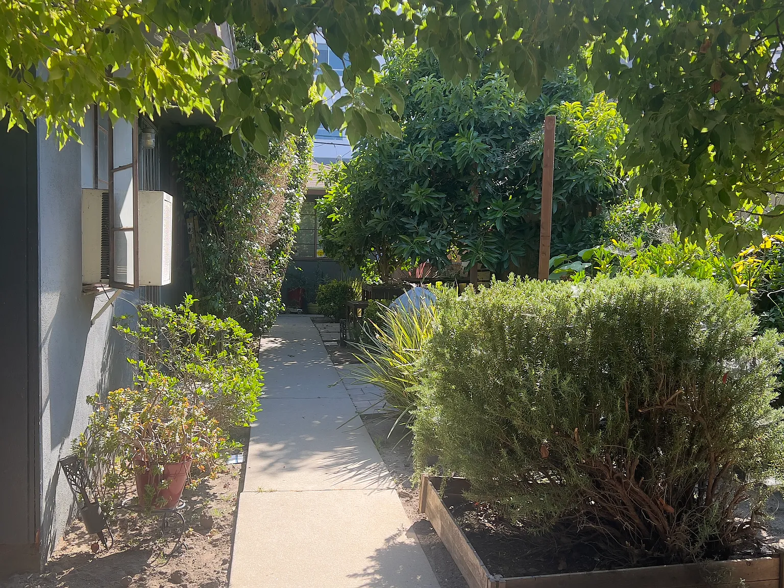 1 bed, 540 sqft, $2,450 — Photo 1