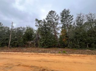Neisman Ave, Interlachen, FL 32148