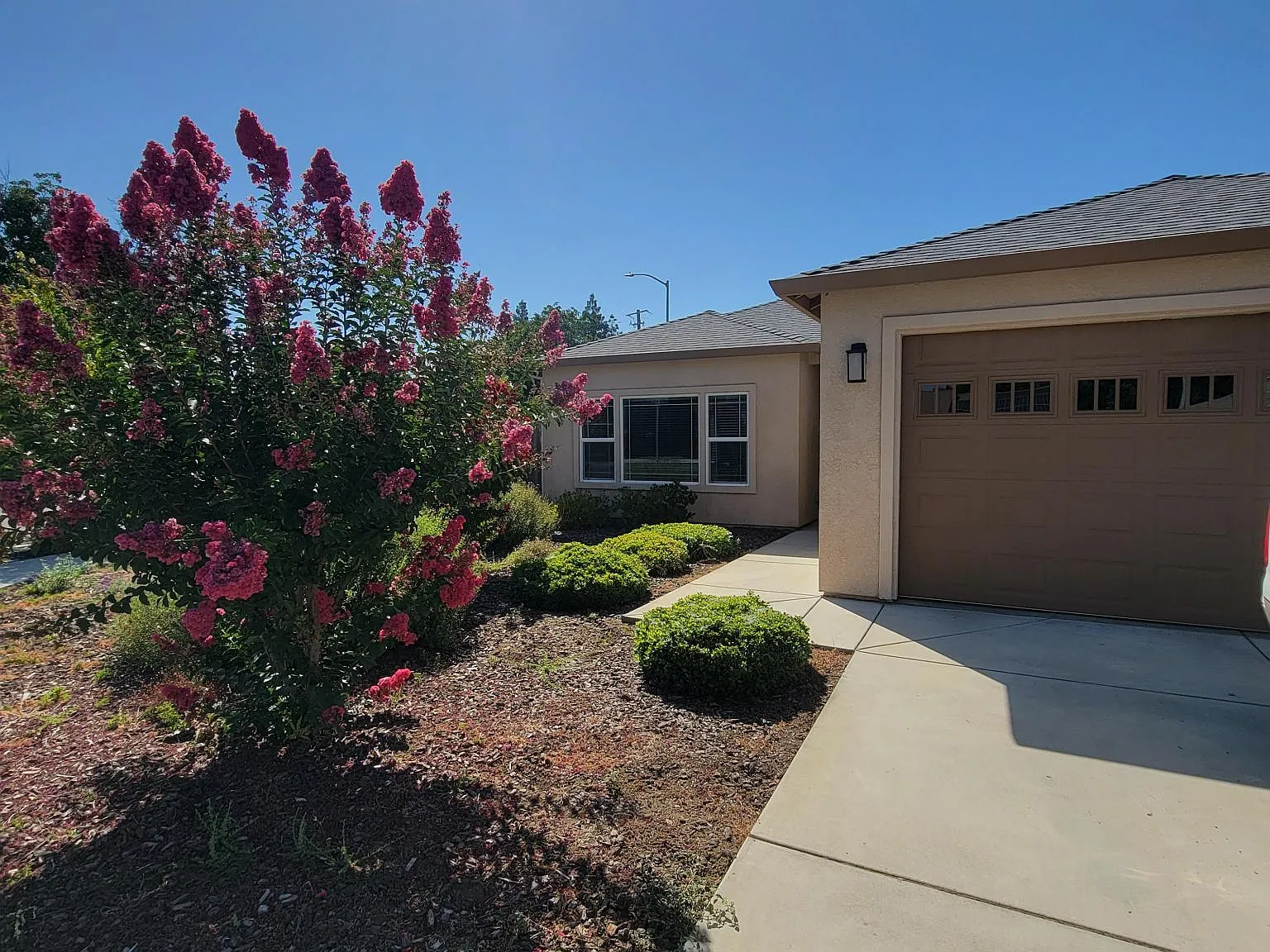 3 bed, 1430 sqft, $2,500 — Photo 1