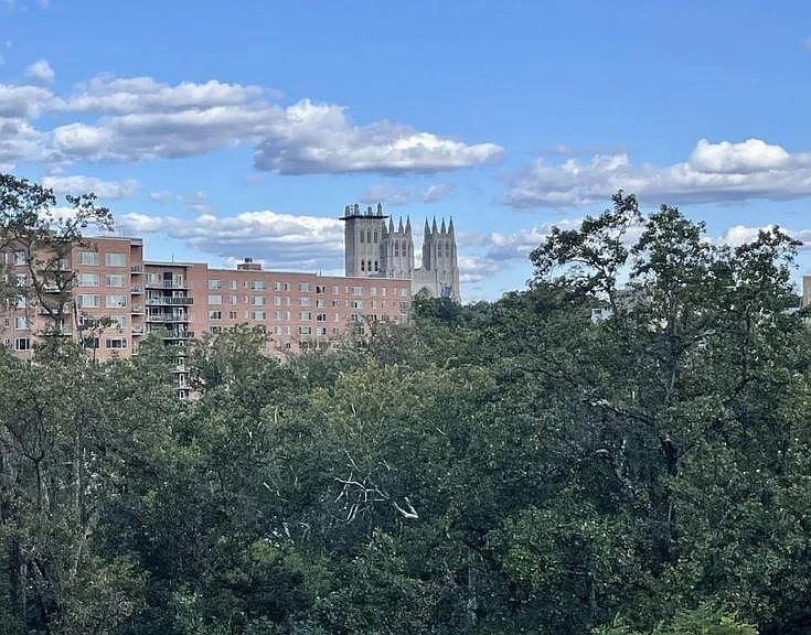 4201 Cathedral Ave NW #1009 — Photo 33