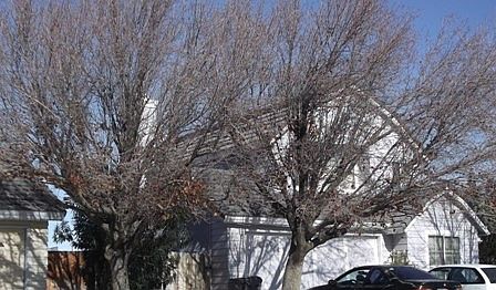 3rd image of 3247 W Avenue J2