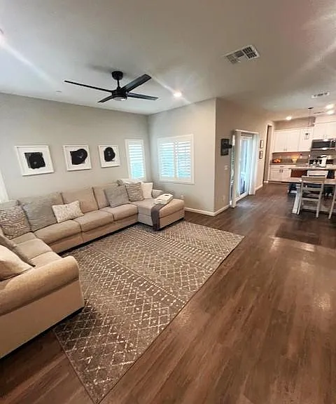 Living Room/Family Room Area