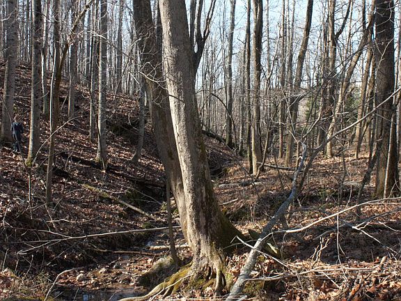 2nd image of 0 Old Ridge Dr