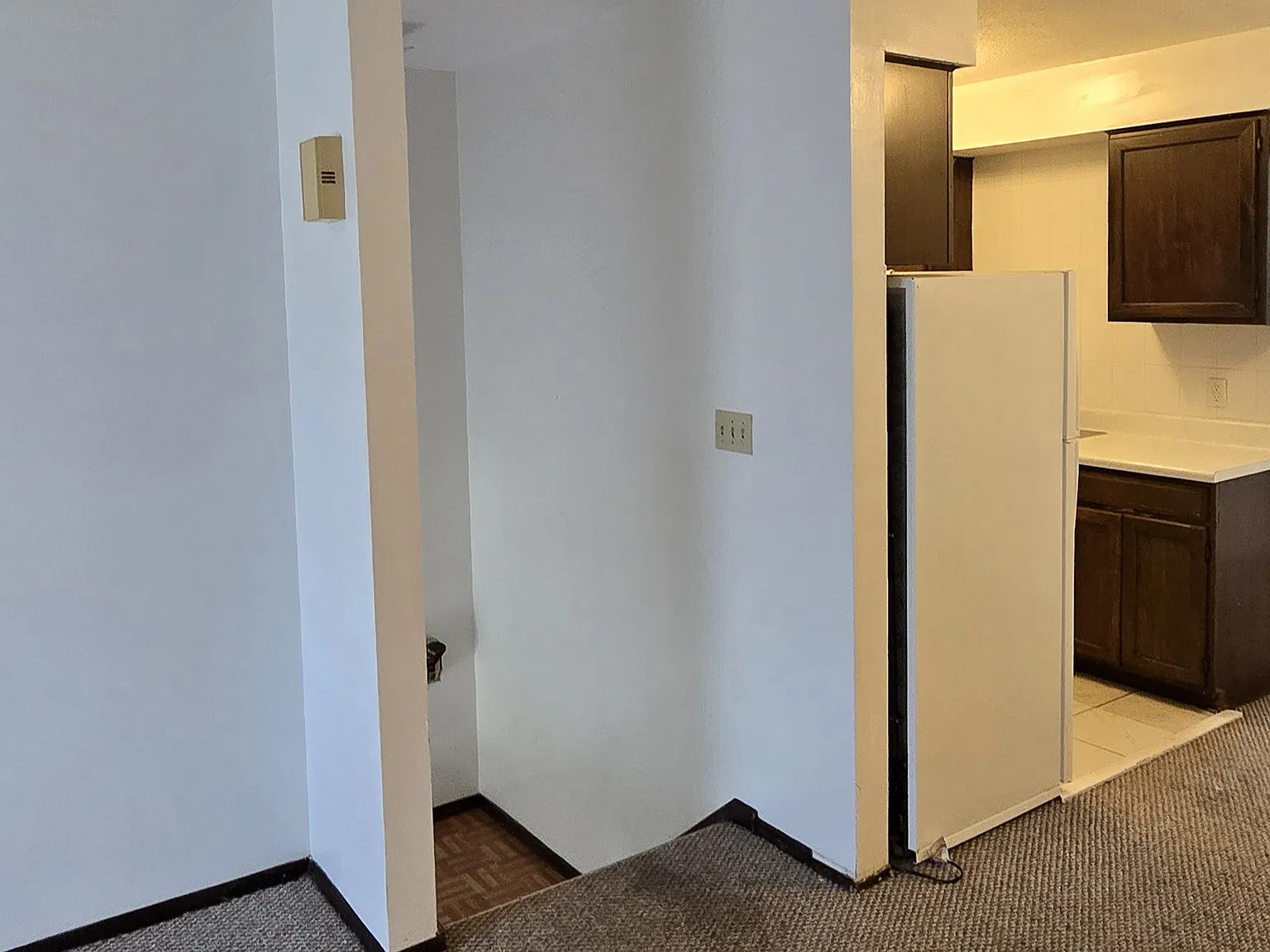 1 bed, 544 sqft, $720 — Photo 2