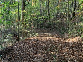 LOT 6 Talona Lake Ln, Ellijay, GA 30536