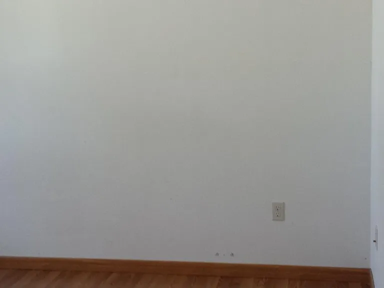 407 Liberty St #7 — Photo 9
