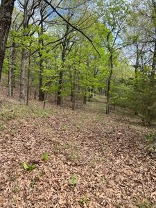 15110 Low Gap Rd, West Fork, AR, 72774