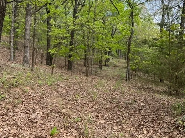 15110 Low Gap Rd, West Fork, AR 72774