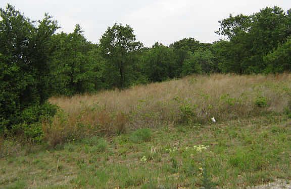 2nd image of 240 Autumnwood Dr