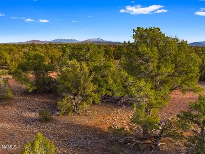2538 S Kaibab Rd, Williams, AZ, 86046