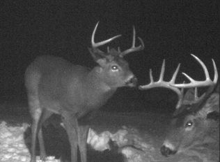 7937 E Cannonsville Rd, Vestaburg, MI 48891