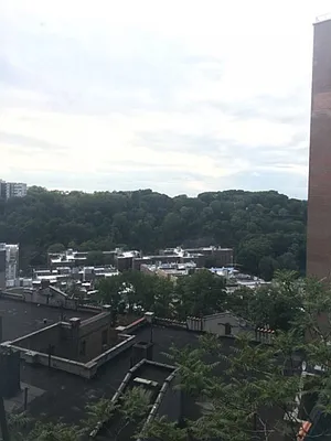 Rented by Bohemia Realty Group | media 43