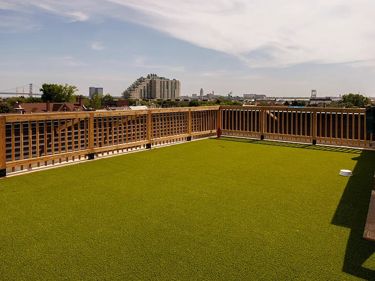 Roof Dog Run #2