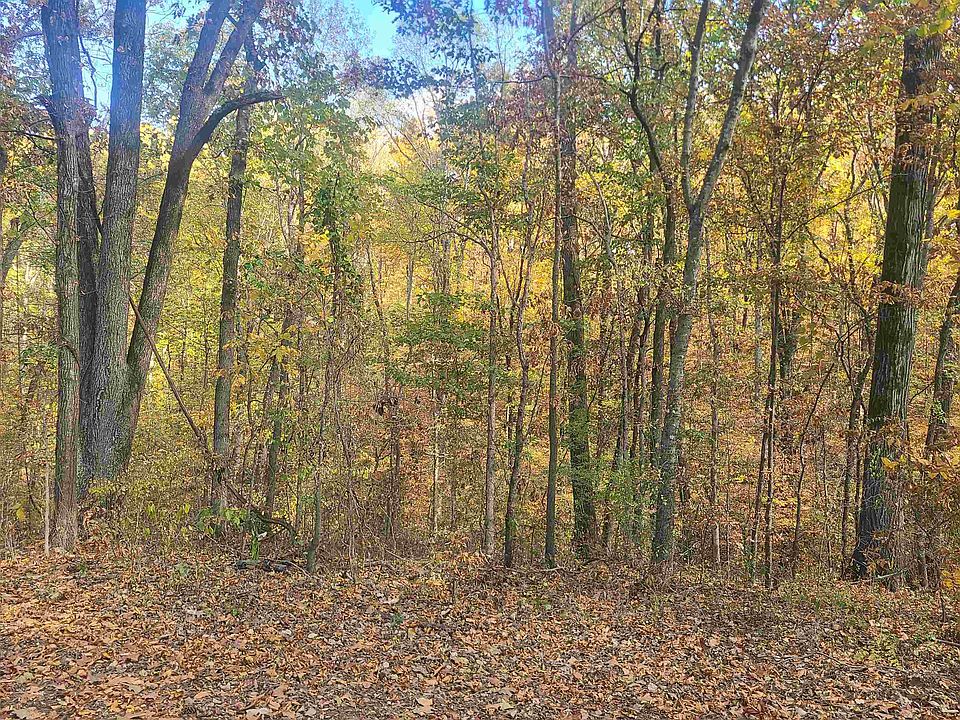 2nd image of 0 Spout Springs Rd