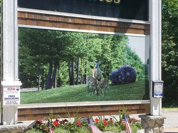 S Deer Run Rd, Kinross, MI 49752