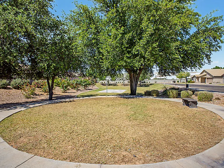 Community area