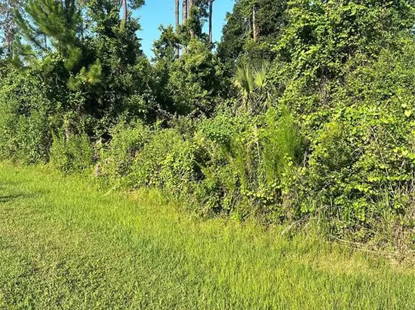 6 Ryberry Dr Lot 9, Palm Coast, FL 32164