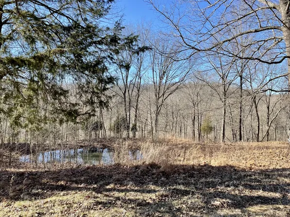 0 Duffer Hollow Rd, Bethpage, TN 37022