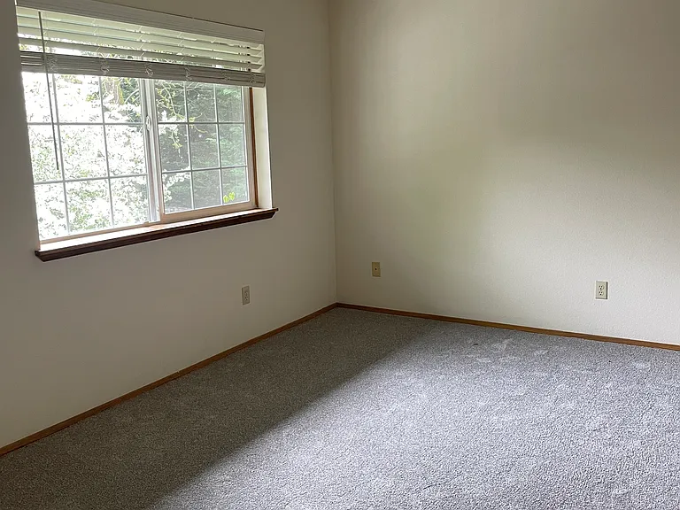 Forest Green Apartments — Photo 19