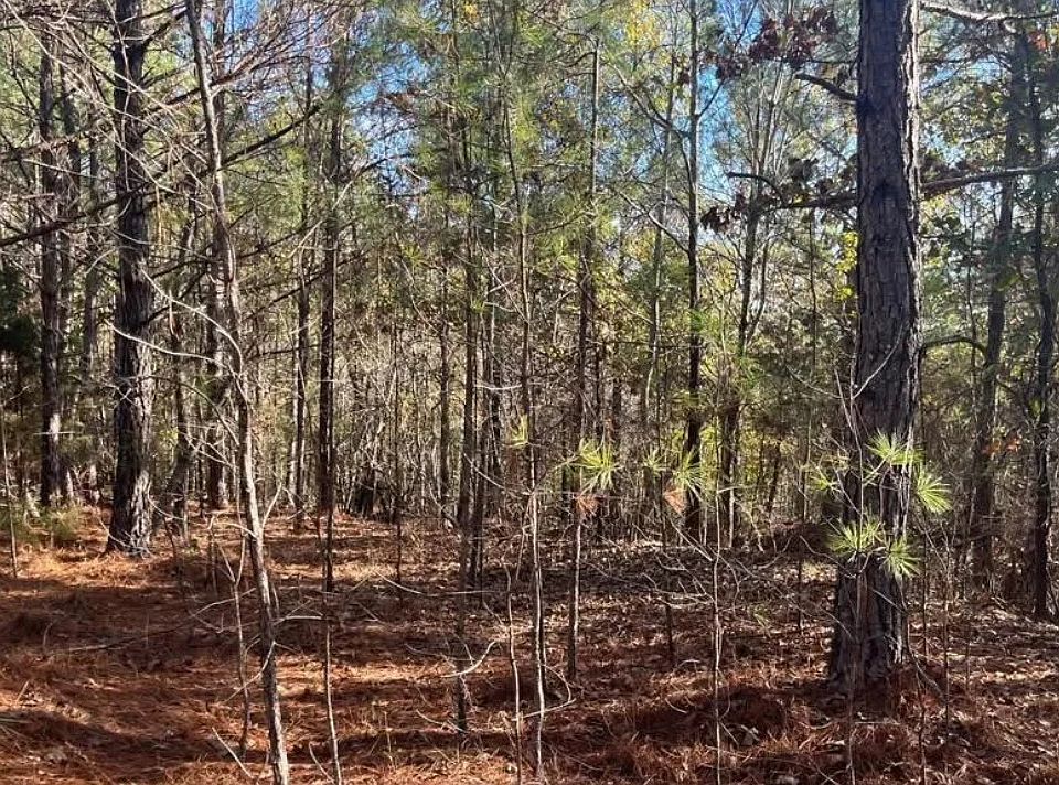 1st image of 5030 Sand Mountain Rd