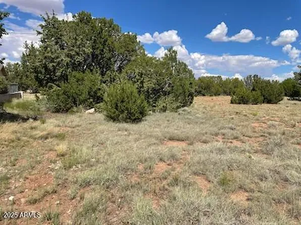 10 FAIRWAY Circle #1, Concho, AZ 85924