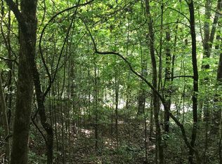 LOT 1 Indian Lake Rd, Topton, NC 28781