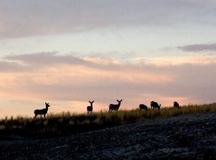 249 Price Rd, Three Forks, MT 59752