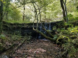 Topsy Store Rd, Waynesboro, TN 38485