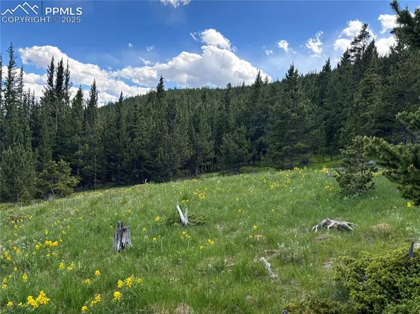 Hilltop Rd, Idaho Springs, CO 80452