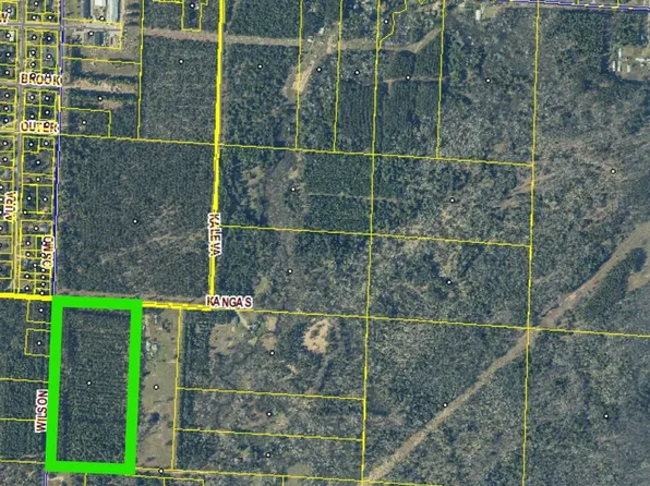 20AC Kangas Rd, Kaleva, MI 49645