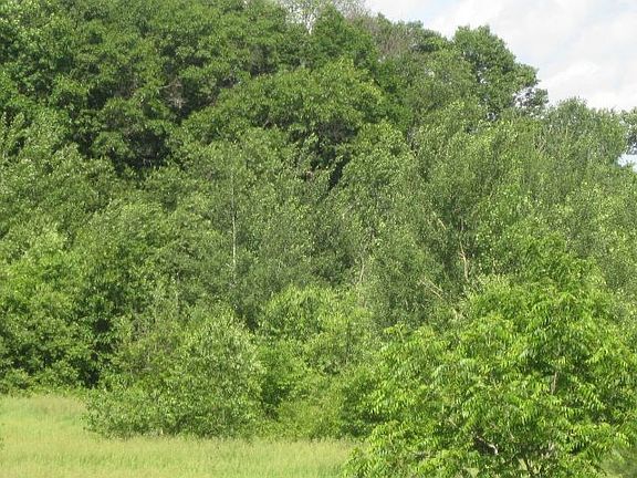 5th image of LOT 3 Crestwood Dr