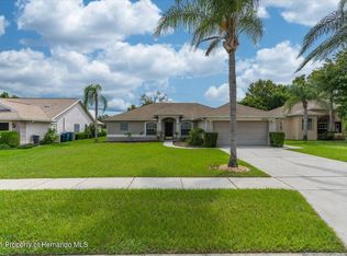 10312 Henderson St, Spring Hill, FL 34608