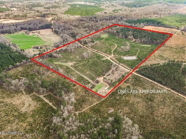 3771 Timberlane Rd NE, Wesson, MS 39191