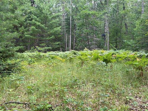 4th image of 12055 State Highway 33
