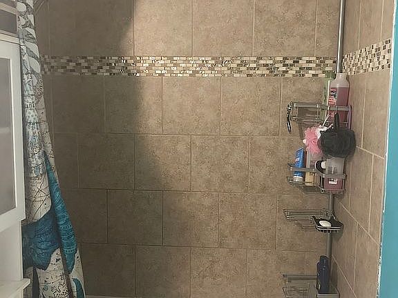 Hall bathroom shower