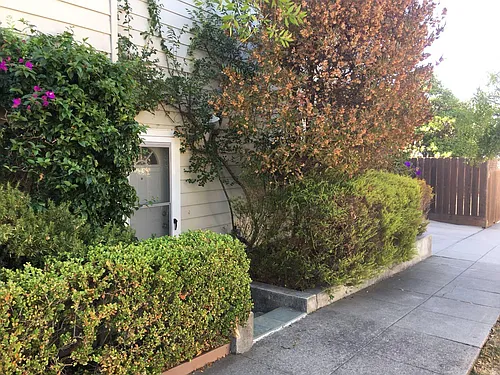 199 Cypress Ave Photo 1