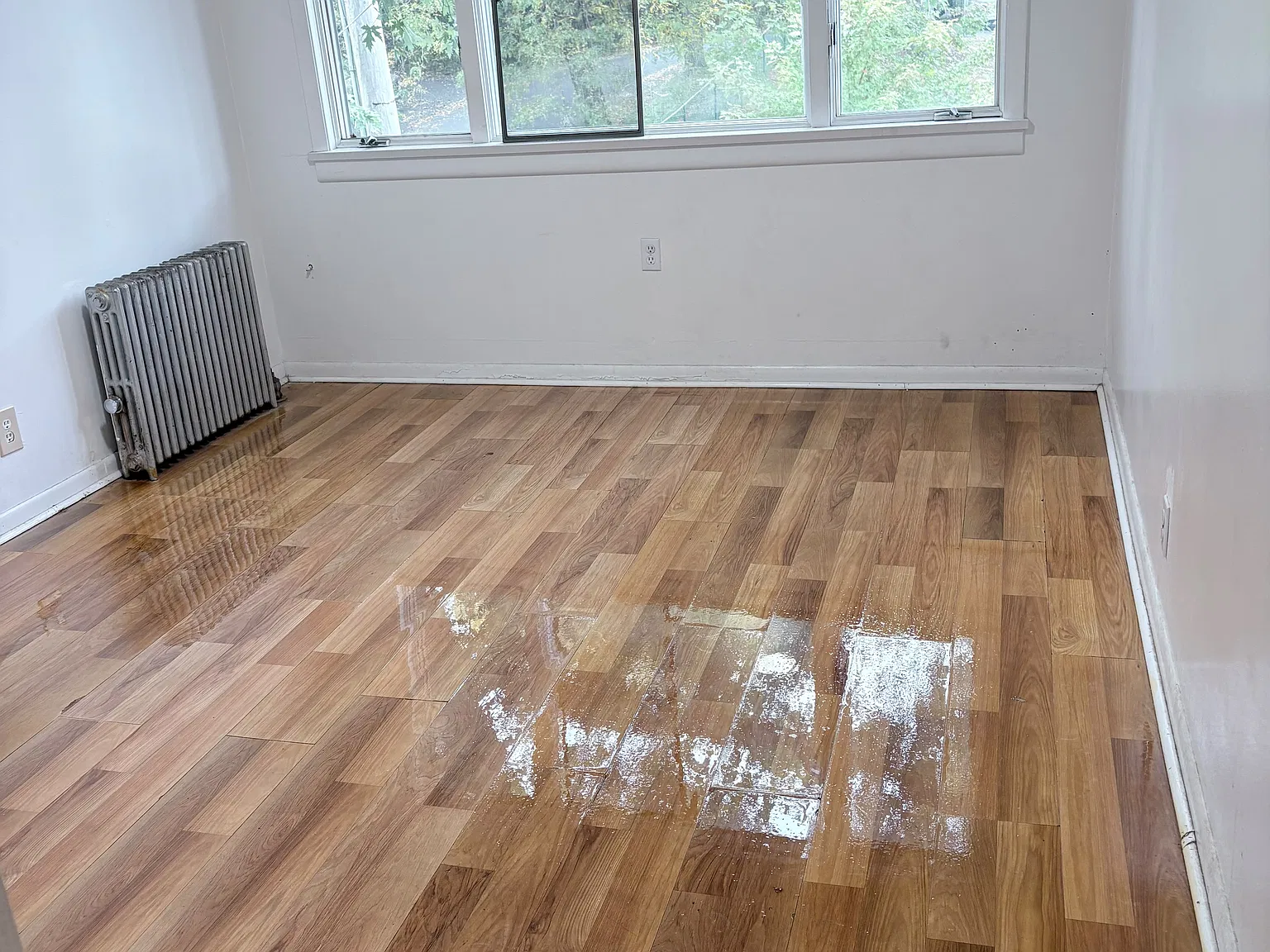 926 Mount Vernon Ave — Photo 4