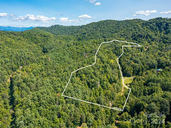 0 Meadow Fork School Rd, Hot Springs, NC 28743