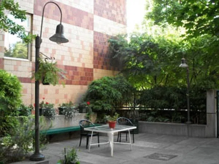 Studio, 220 sqft, $480 — Photo 3