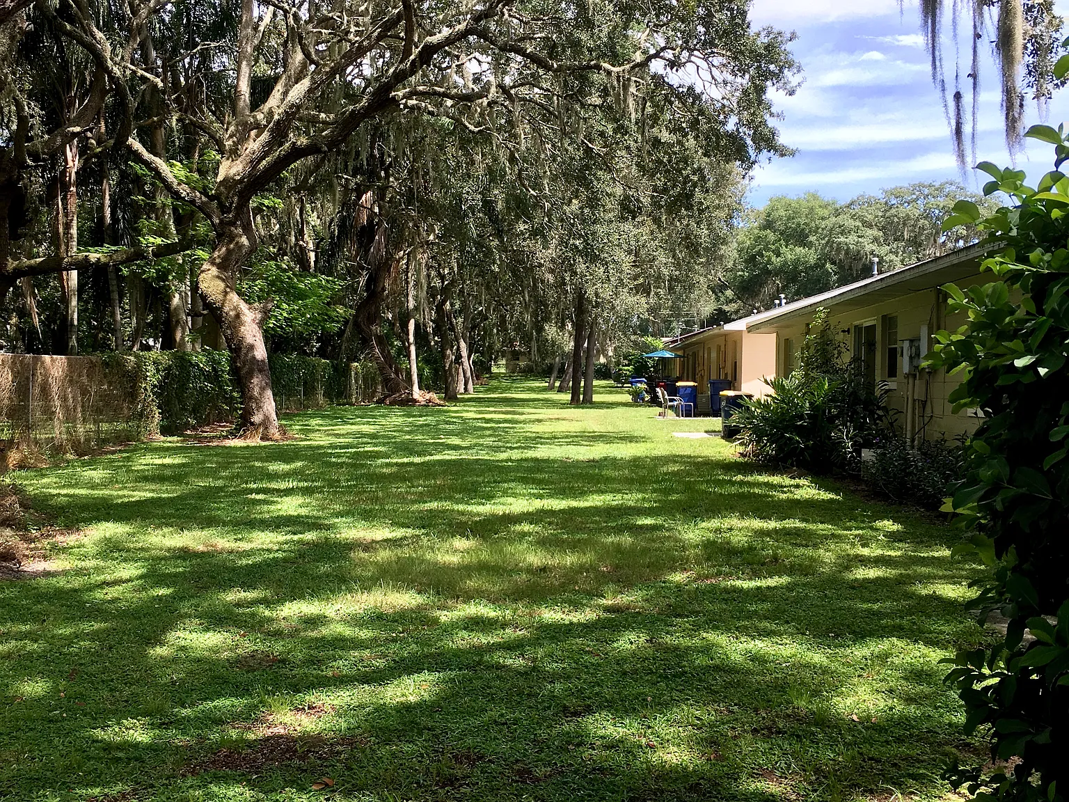 2 bed, 800 sqft, $1,400 — Photo 2