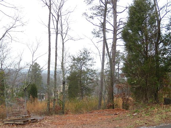 4th image of 109 Lara Lee Ln