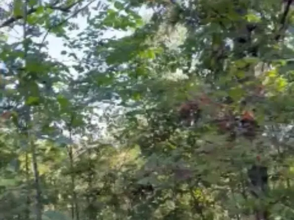 000 State Hwy C #Tract 8, Purdy, MO 65734