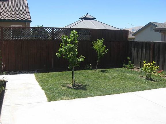 Enclosed back yard