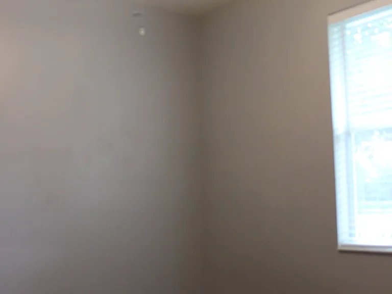 2505 Lacerta Dr — Photo 18