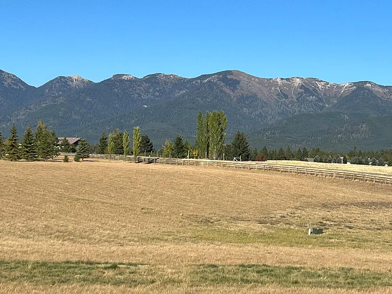 View from the Cabin