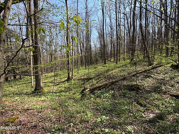 4th image of Adj 216 Rock Cut Rd